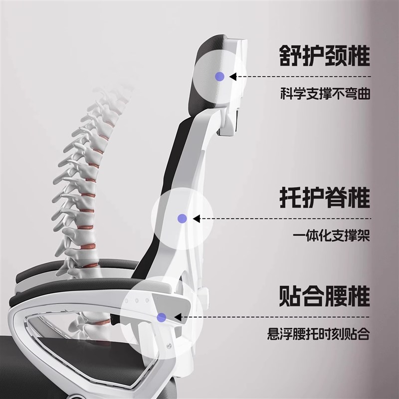 人体工学椅子护腰电脑椅家用舒适久坐电竞椅子男生可躺Y办公室座