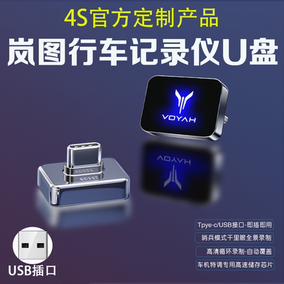 适用于岚图FREE行车记录仪U盘追光/梦想家哨兵模式千里眼专用优盘