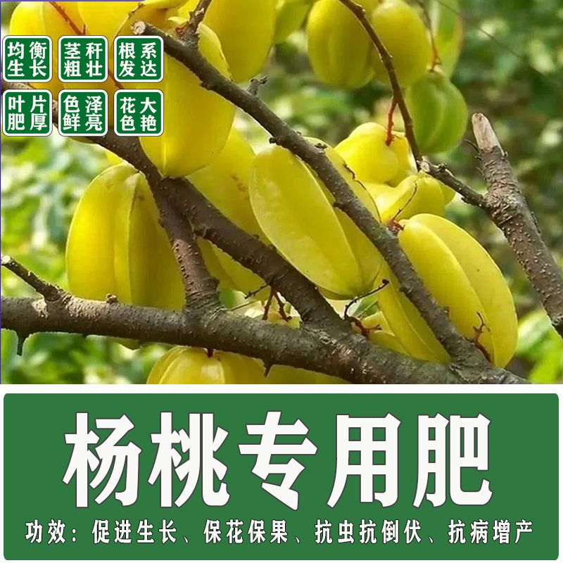 杨桃专用肥料复合肥果树农用通用型氮磷钾尿素磷肥冲施肥化肥追肥