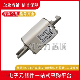 3930 170M3926 3929 3928 3931全新熔断器现货 3927