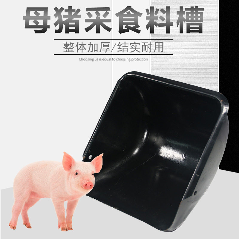 母猪食槽 厂家直供一体成型 加厚耐用产床定位栏加厚钢板母猪食槽
