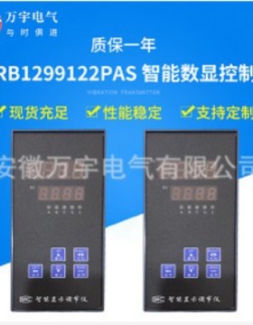 SCRB1299122PAS 智能数显控制仪 竖式