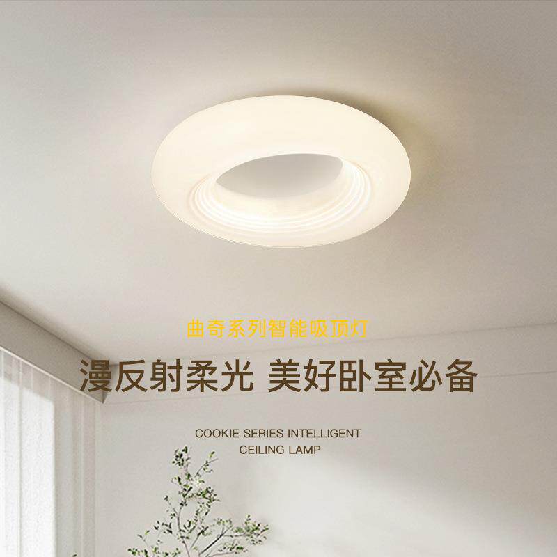 温馨北欧式灯具圆形创意家用房间网红吸顶灯简约大气卧室客厅灯