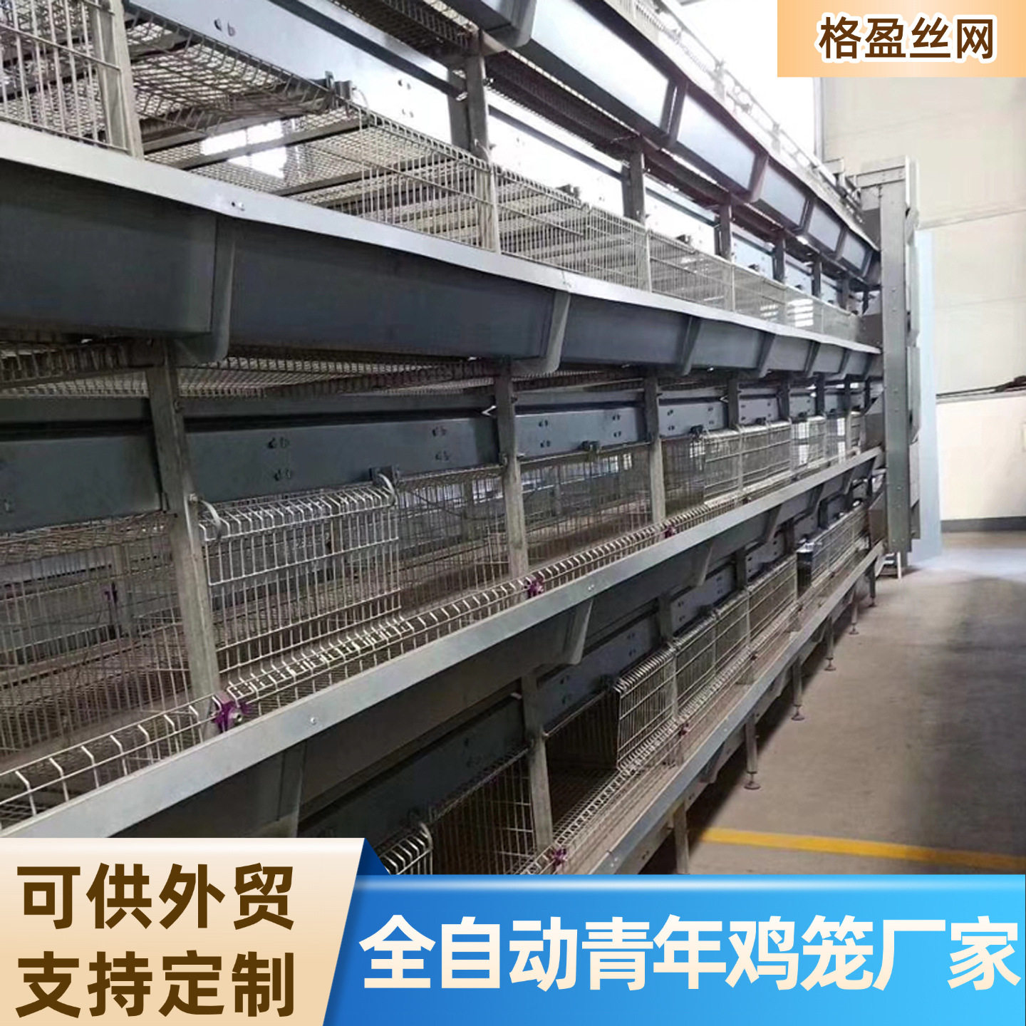 养殖场青年鸡笼养鸡场立式自动化养殖设备鸡舍层叠式养鸡笼订置