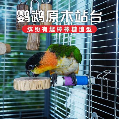 天然野梨木鹦鹉站台宠物跳台跳板玄凤牡丹鸟笼装饰磨牙磨爪磨嘴