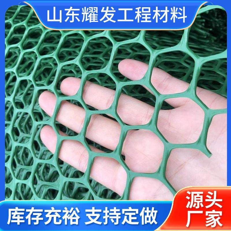 ce5塑料土工网软基处理边坡防护hdpe罩面网山体护坡ce3土工网