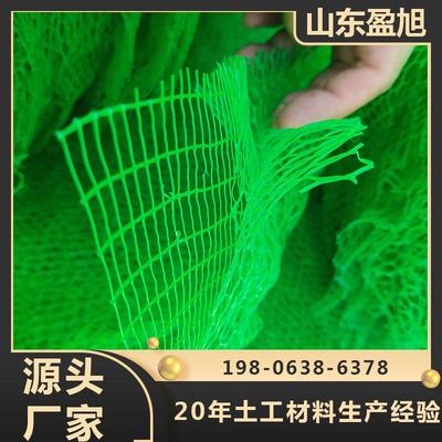 绿化土工立体护坡网 生态修复加筋用三维植被网 三维土木植草网垫