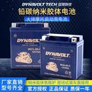 250 猛狮摩托车电瓶12V 400NK650国宾狒狒150CT250SR免维护蓄电池