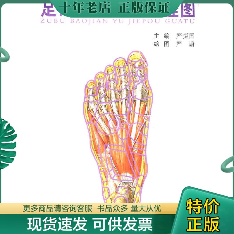 正版现货9787810607575 足部保健与解剖挂图 严振国　主编 上海第二军医大学出版社