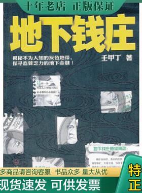 正版现货9787543063761 地下钱庄 壬甲丁　著 武汉出版社