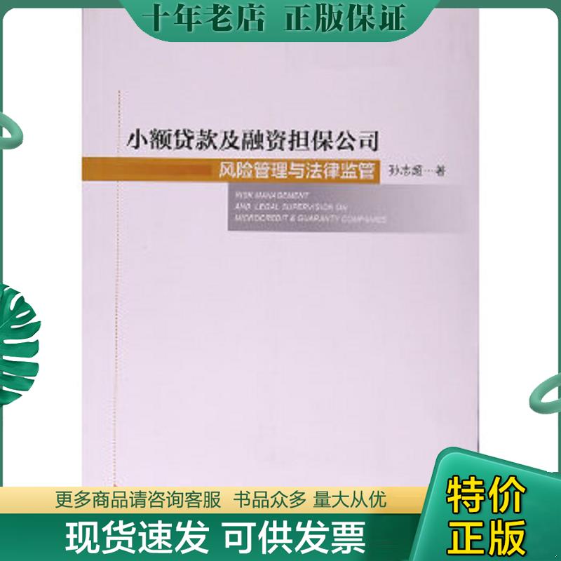 正版现货9787562076346 小额贷款及融资担保公司风险管理与法律监管 孙志超 中国政法大学出版社