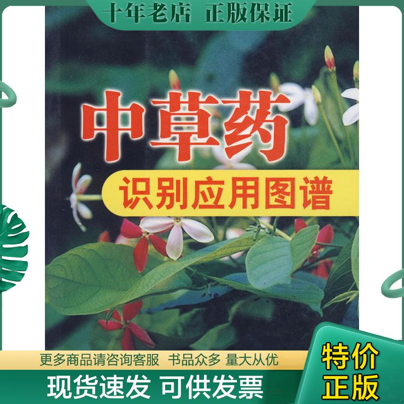 正版现货9787533526986 中草药识别应用图谱 [C----202] 冼建春,林日初　主编 福建科技出版社