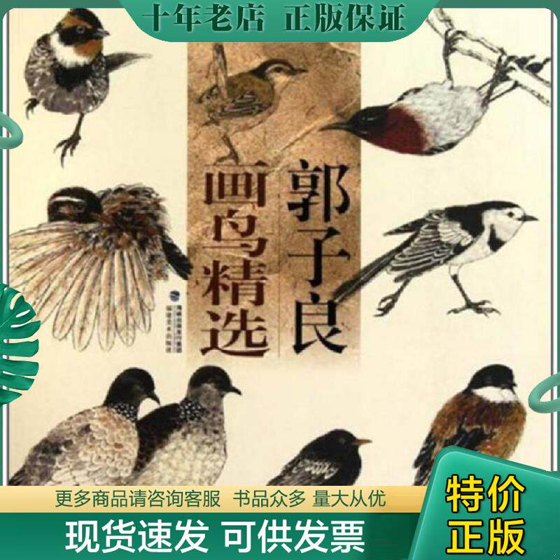 正版现货9787539323541 郭子良画鸟精选 郭子良 福建美术出版社
