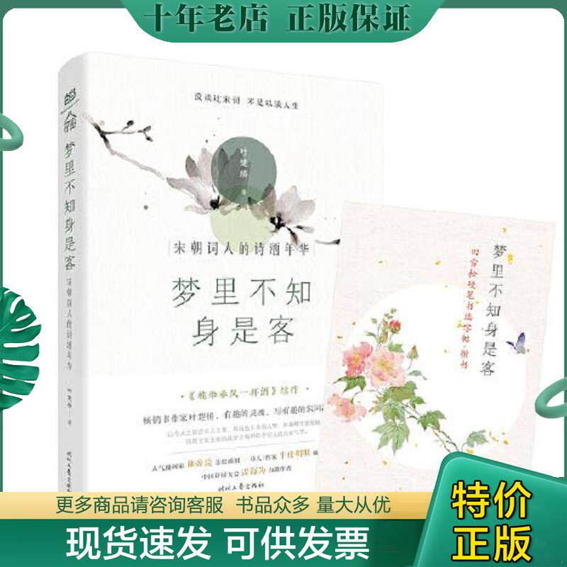 正版现货9787538761399 梦里不知身是客 : 宋朝词人的诗酒年华(林帝浣插图版) 叶楚桥 时代文艺出版社