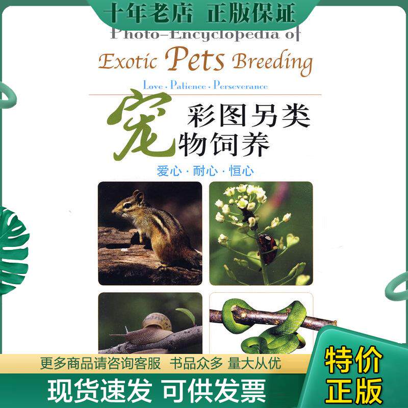 正版现货9787807402718 彩图另类宠物饲养 陈志兵//夏欣 上海文化出版社