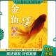现货9787811174380 中国农业大学出版 金鱼养殖与鉴赏 羊茜编著 社 占家智 正版
