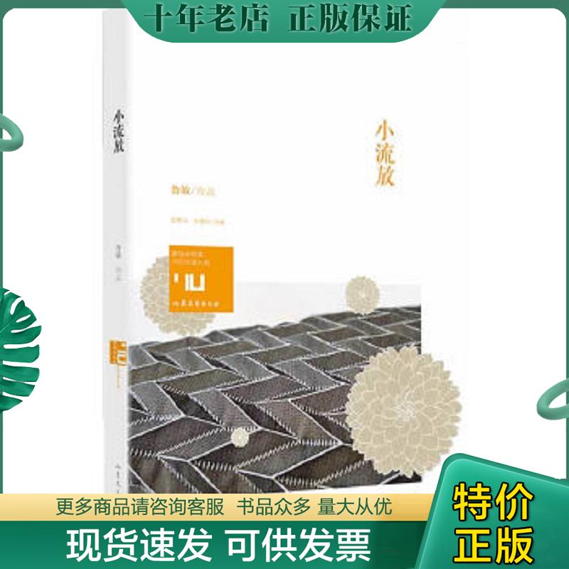 正版现货9787532944873 小流放 鲁敏著 山东文艺出版社