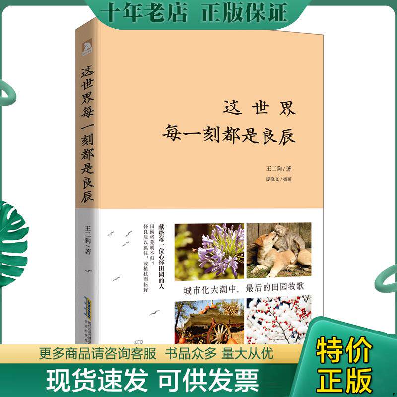 正版现货9787569907018 这世界每一刻都是良辰 王二狗 北京时代华文书局