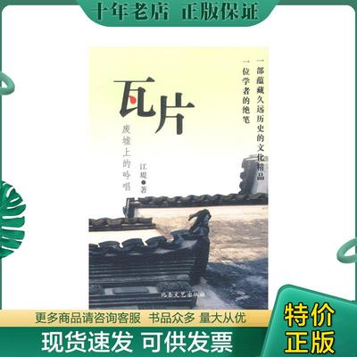 正版现货9787537825771 瓦片——废墟上的吟唱 江堤著 北岳文艺出版社