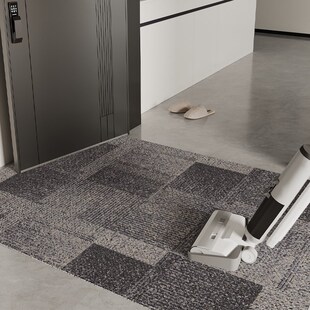 入户门地垫耐脏免洗网红丝圈pvc轻奢简约现代门口进门地毯垫子