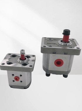 淮安长江CBN系列齿轮泵CBN-F304/F306/F310/F314/F316齿轮泵油泵