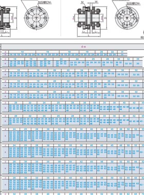 DBL31 DBL41-D100 100L-d52 d55 d60-e52 e55 e60 免键式联轴器