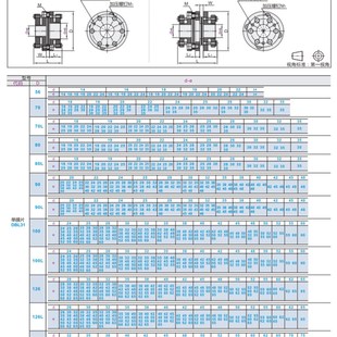e60 联轴器 100L d60 e52 d55 D100 d52 免键式 DBL31 e55 DBL41
