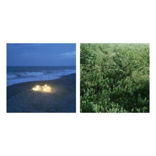 She Her Her Hers乐队专辑卧室宿舍装饰墙贴海报自粘画芯不含画框