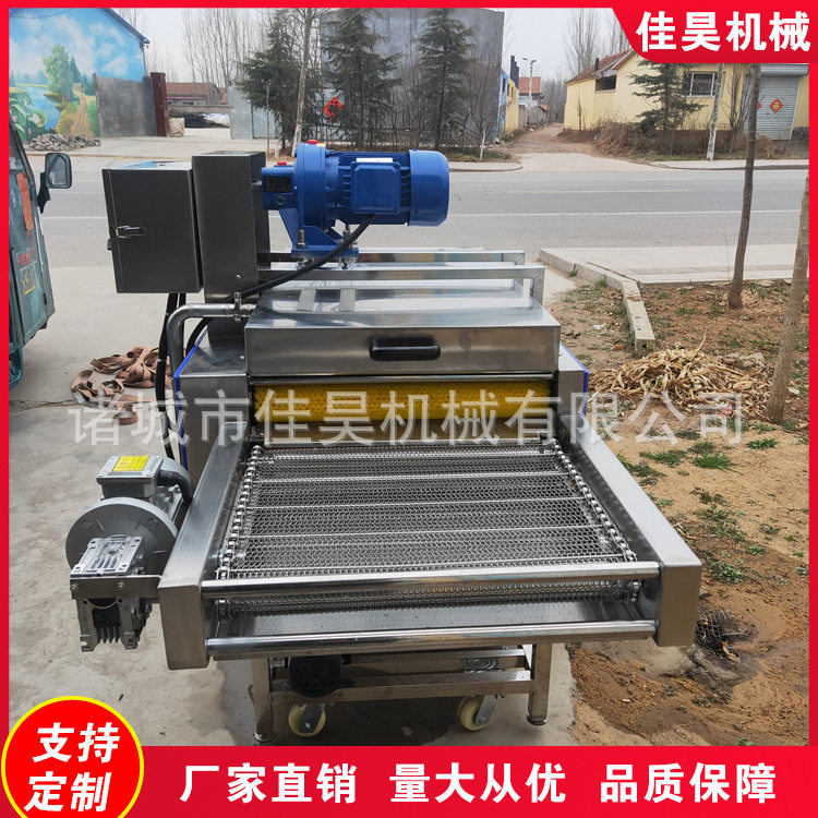 全自动小型高压粽叶清洗机器商用粽子加工设备毛刷甘蔗清洗机订置