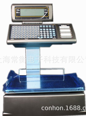 迪宝DIBAL L545DM劲风系列条码秤 商用衡器 用于大型超市卖场