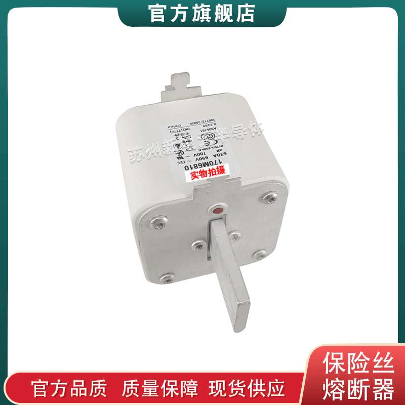 170M6901 6902 6903 6904 6905 巴斯曼bussmann快速熔断器保险丝