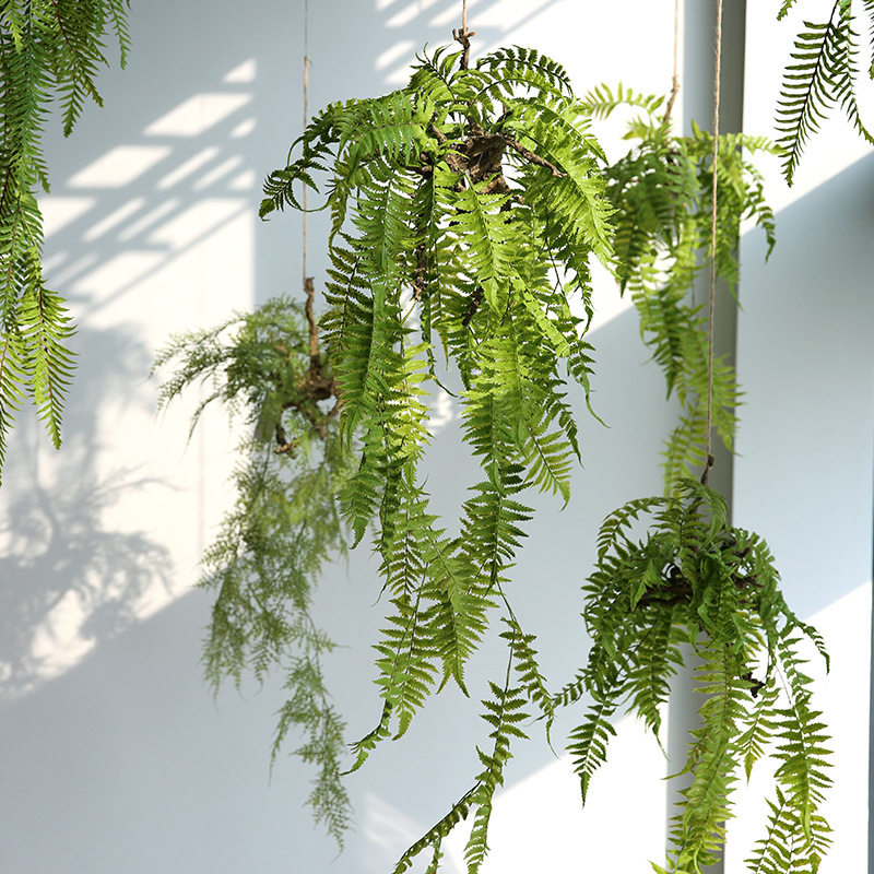 芊蔚 室内空中垂吊树根蕨仿真绿植物吊饰家居创意花艺设计跨境