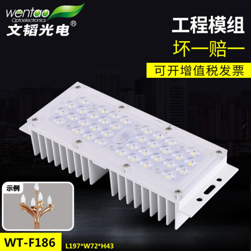 LED路灯模组市政可调隧道灯工矿灯36W户外IP67投光灯3030光源模组