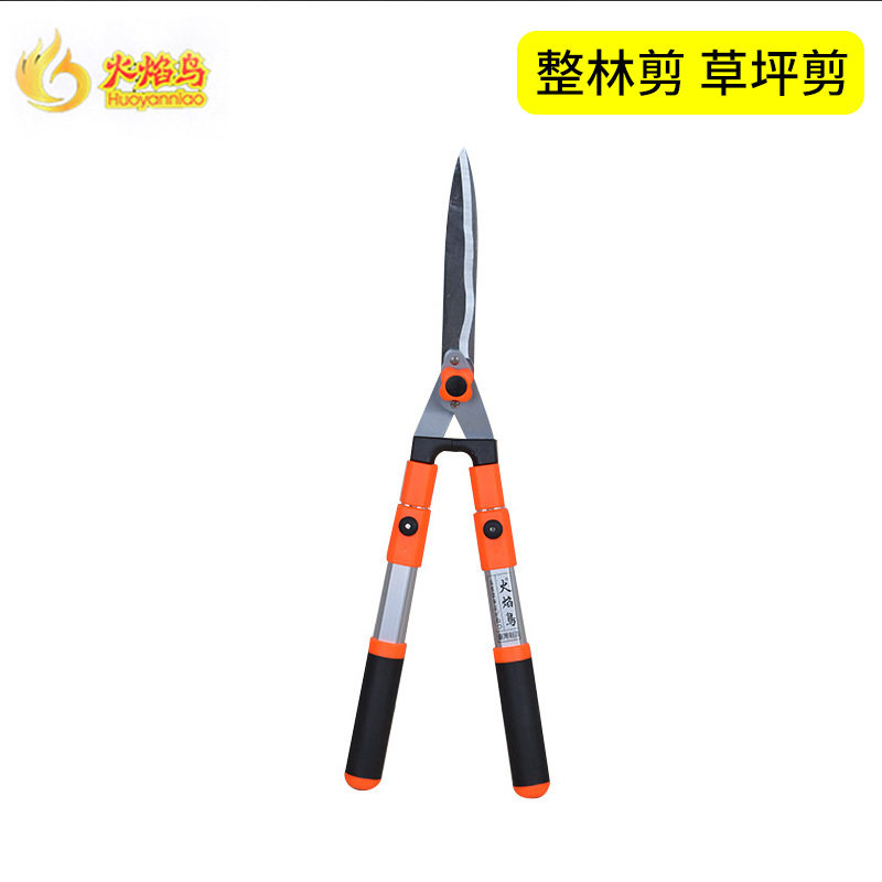 火焰鸟整林剪草坪剪伸缩绿篱剪园林工具修花剪