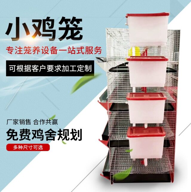 小鸡笼立式雏鸡笼子阶梯式后热镀锌鸡笼三层层叠小鸡笼4层养笼具