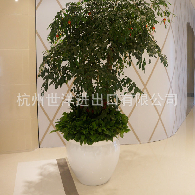 玻璃钢花盆 商场美陈高中低搭配组合花箱异形组合花钵