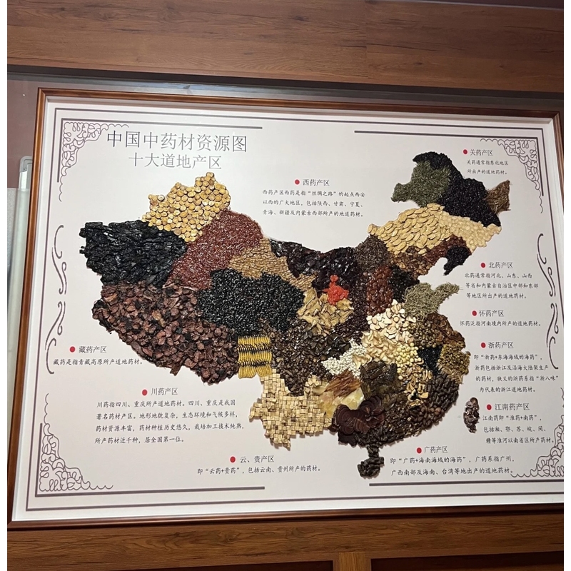 药材地图药膳摆件中组方标本圆形盒子四君子汤宣传中医药文化夜市