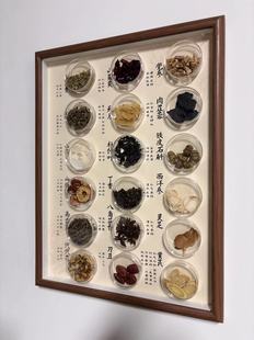 中药标本画药食同源摆件文创国医框直播间草本展示样品文化墙装饰