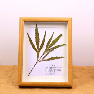 药食同源植物展示美容院中药展示中药分类手工原材料展示牌中药框