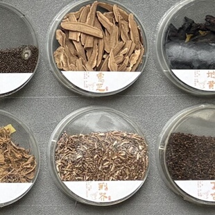中药标本包学习材药材托育园认识中草药本草中医文创香料植物