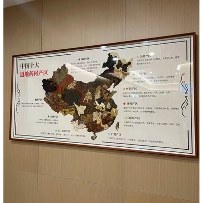 道地药材地图中药茶饮kt板常用挂图头疗店实物样板中医馆展板