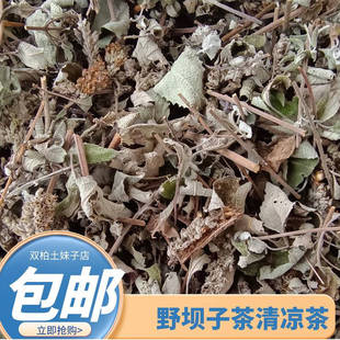 【清热降火】野坝子茶野生正品中药材适合女生喝的草本养生茶包
