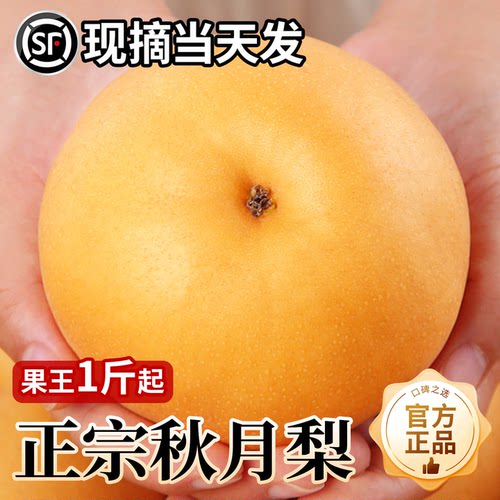 【官方推荐放心购】正宗秋月梨