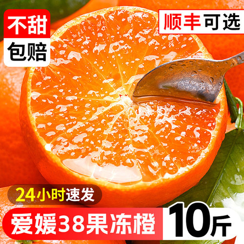 当天采摘丨纯甜无酸丨爱媛果冻橙