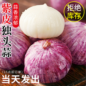 云南紫皮独头蒜2026新蒜5斤大蒜头新鲜农家蒜头干蒜当季蔬菜批发