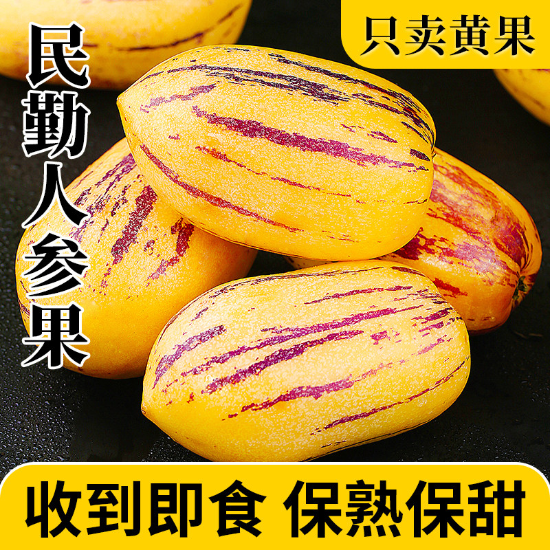 甘肃民勤沙漠人参果新鲜水果10斤特产七彩大果树上熟人整箱包邮