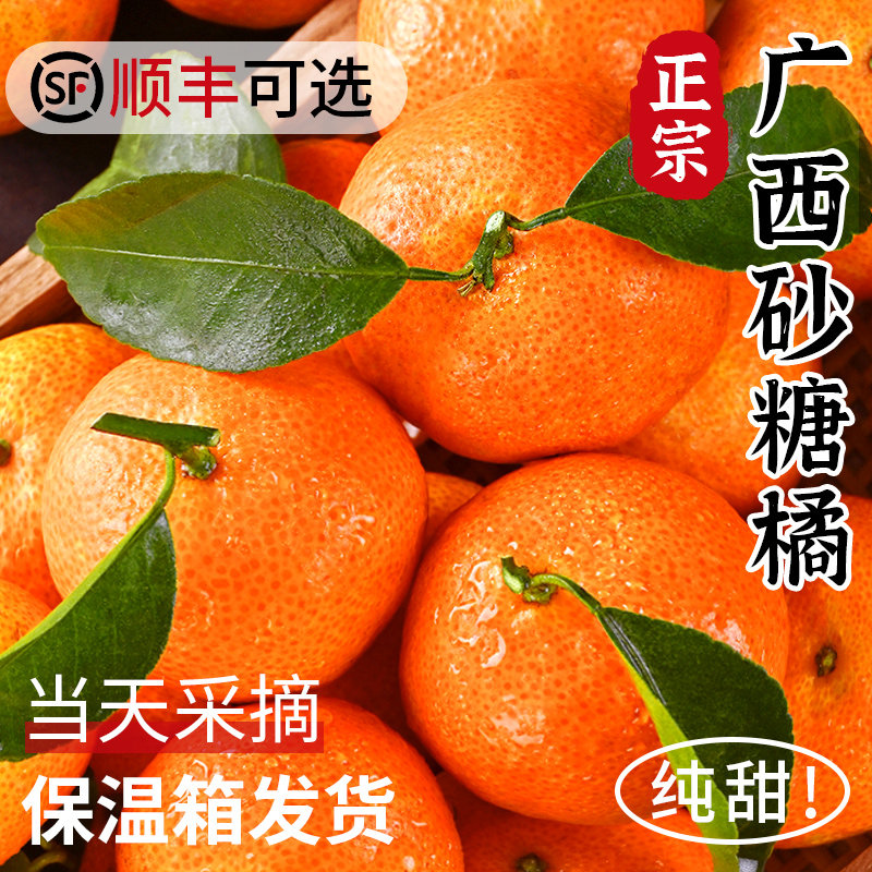 广西砂糖橘新鲜水果当季整箱10橘子斤应季金秋沙糖桔柑橘蜜橘桔子
