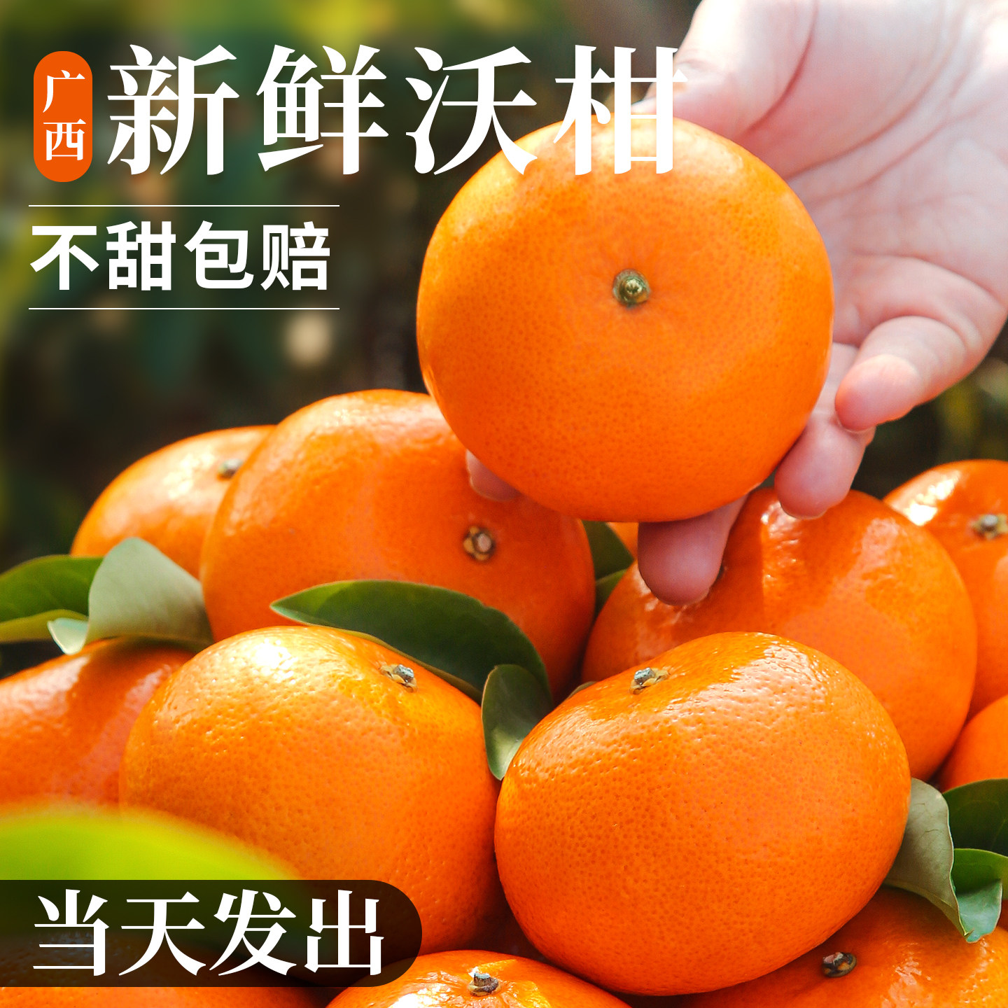 广西沃柑新鲜10现摘水果当季整箱斤大果桔子砂糖沙蜜橘柑橘子