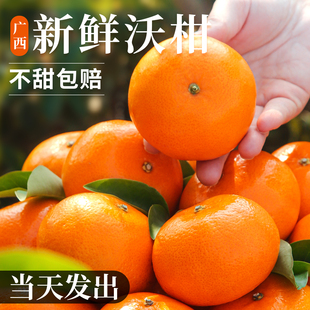 广西沃柑新鲜10现摘水果当季整箱斤大果桔子砂糖沙蜜橘柑橘子