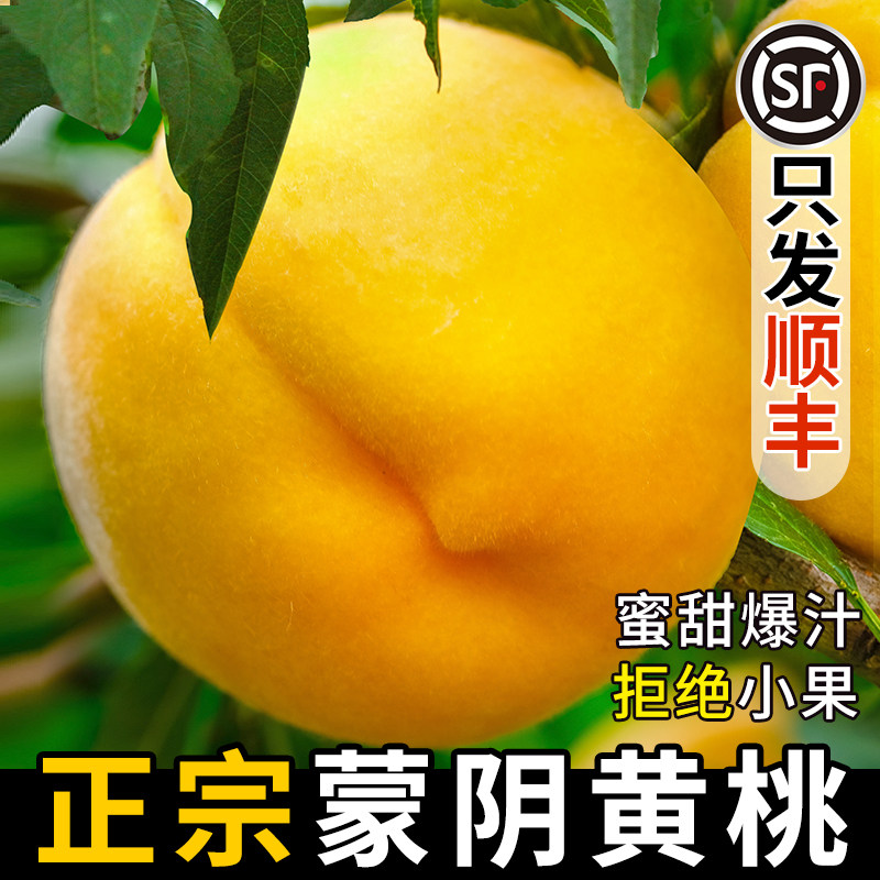当天采摘，脆甜多汁，蒙阴黄桃